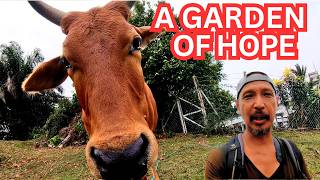 Download lagu Urban Oasis in Kuala Lumpur: A Garden of Hope in Bangsar, Kebun Kebun Bangsar. mp3 Download lagu Urban Oasis in Kuala Lumpur: A Garden of Hope in Bangsar, Kebun Kebun Bangsar. mp3