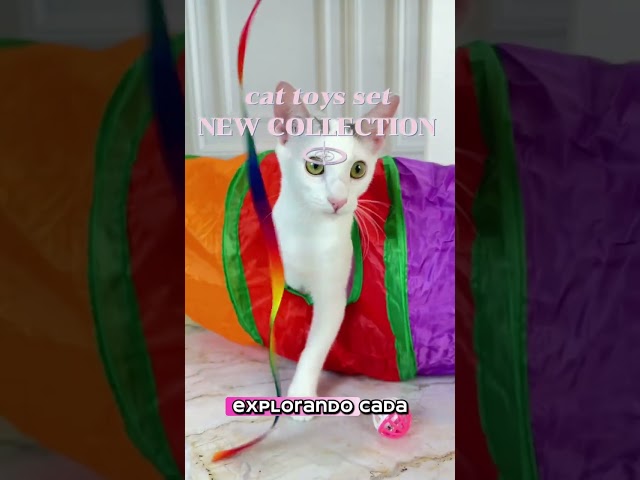 Vídeo relacionado con PHOGARY 9PCS Figuras de Gatos realistas, Set de Juguetes de Figuras de Gatitos, Gatito Huevos de Pascua Cake Topper Regalo de cumpleaños de Navidad para niños niños niñas niños Amante de los Gatos