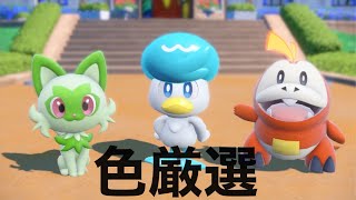 【ポケモンSV】新ポケモン色違い出るまでやめられない配信 13時間～