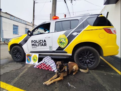 Polícia Rodoviária Estadual apreende quase 25 kg de maconha em Fernandes Pinheiro