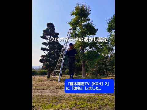 秋に剪定する果樹はどれ？庭師が教えるメンテナンス成功の秘訣！  庭園