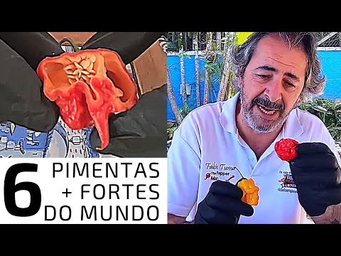I ATE THE 6 STRONGEST PEPPERS IN THE WORLD!! TASTING WITH EXPLANATION OF EACH ONE!!