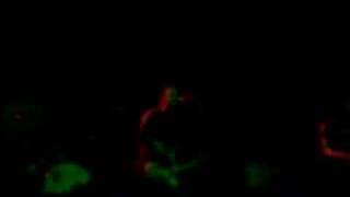 Straylight Run - The Tension And The Terror Live