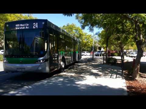 Transperth Volvo B7RLE (Volgren Optimus) TP2811 Arrives @ Stop 11504