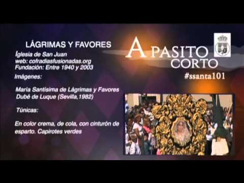 Semana Santa Málaga 2015: Domingo de Ramos Parte1 emitido por 101tv Málaga