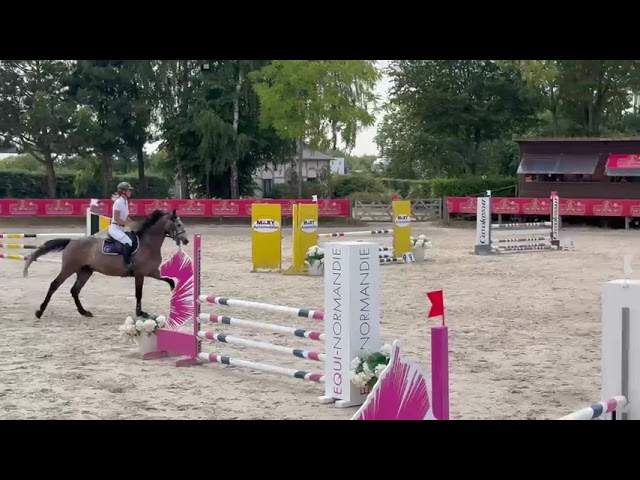 4ans gros potentiel