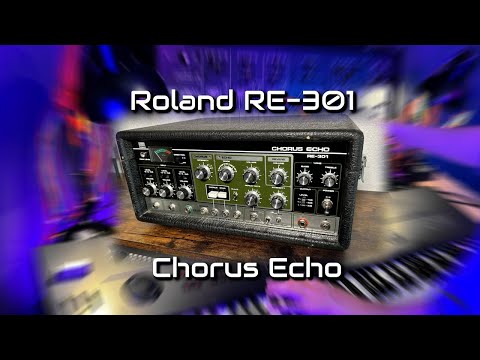Roland RE-301 Chorus Echo 1979 - 1981 - Black image 12