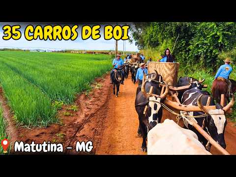 A tradição NÃO acabou! Mais de 35 Carros de Boi em Matutina MG 🐂