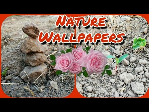 download lagu mp3 mp4 Video Wallpaper Pagalworld, download lagu Video Wallpaper Pagalworld gratis, unduh video klip Video Wallpaper Pagalworld