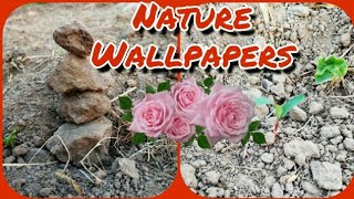 WOW! Beautiful nature wallpapers || nature wallpaper for mobile || wallpapers for mobile