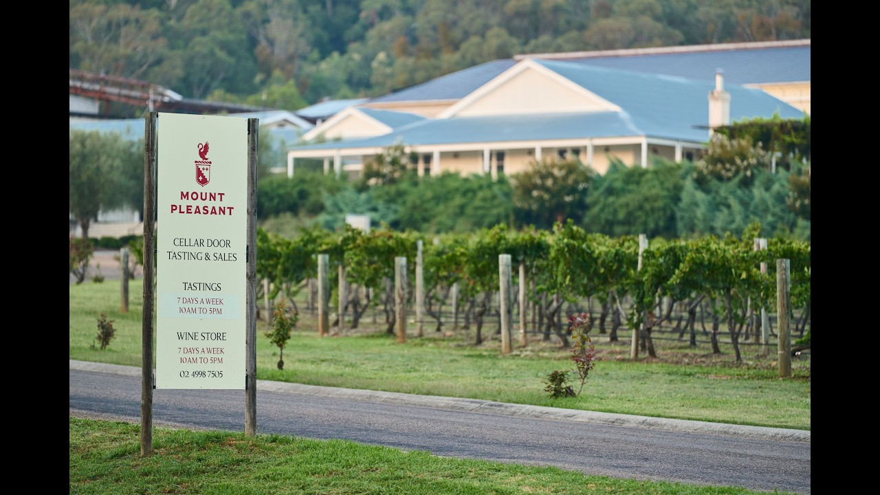Art et vin | L'expérience Love on Mount Pleasant