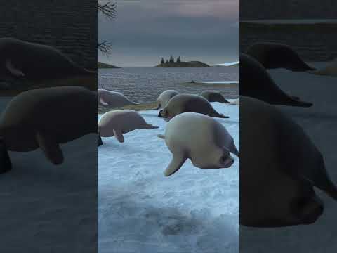 【GMOD】アザラシ大量発生