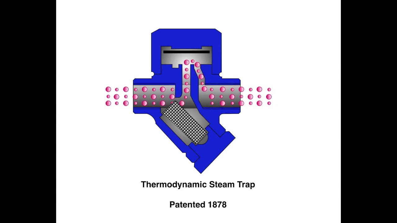 Thermodynamic Steam Trap Animation