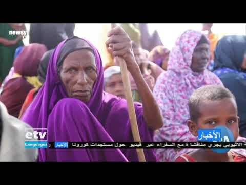 Arabic news April, 22 / 2020