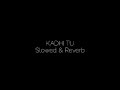 Slowed Reverb | Kadhi Tu | Best Lofi Song