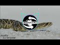 Scaliix La Serpent