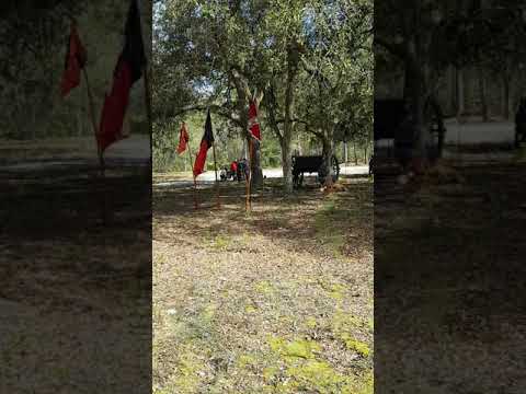 Gefecht am Sonntag Teil II - Truppen gehen in Stellung