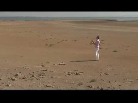 Саксофонист Михаил Морозов (Syntheticsax - サクソフォーン奏者)