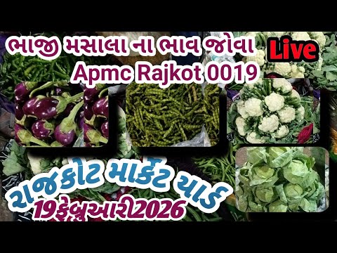 Rajkot market yard 19/02/2026 green vegetables price 