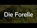 Die Forelle - The Trout : Franz Schubert D550 || Song & Lyrics [CC AR/CN/DE/EN/FR/JP/TN/TR/VT]
