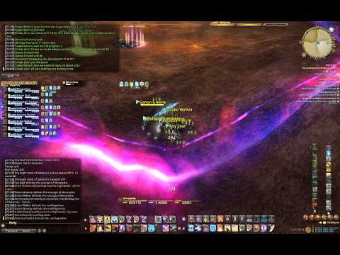 FFXIV Miraga / Coil T5 attempt 20140522
