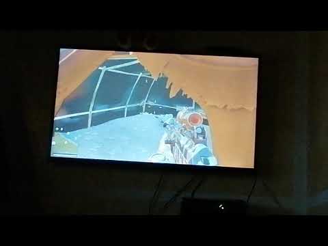 Ho trovato un cadavere di SABAL!!!!! 😲😲😲😲