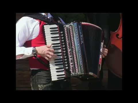 Wir sind die Alpis von Die Alpis