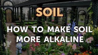 How to Make Soil More Alkaline