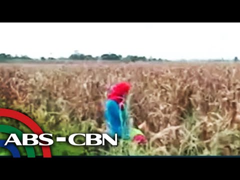 Top Story | ANC (5 July 2022)