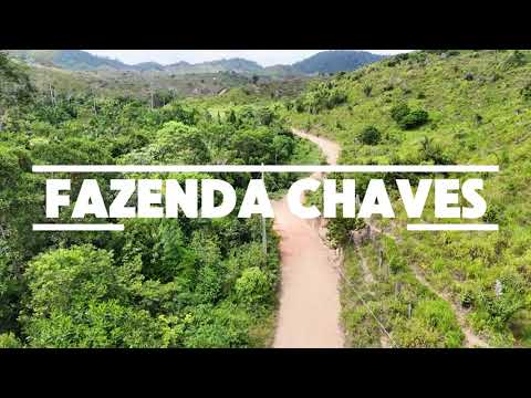 Fazenda Chaves em Governador Newton Bello - MA