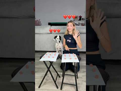 Quién ha ganado?😂