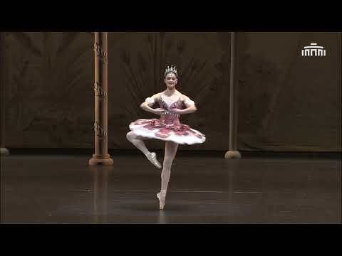 "Le Pavillion d'Armide" variation. Het National Ballet.