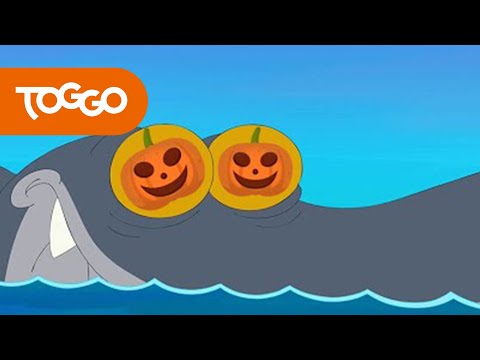 Zig und Sharko 🎃 Kürbisse in den Augen 🎃 Volledige aflevering in HD