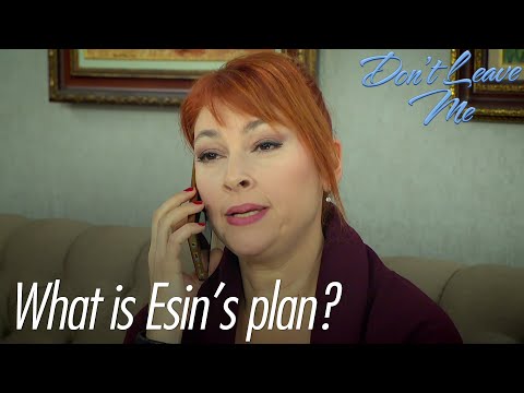 What is Esin's plan? - Don't Leave Me Short Scenes