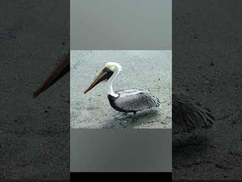 Salinas Santa Elena Ecuador