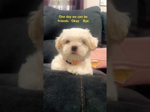 I love you snowy you’re my best daughter ever