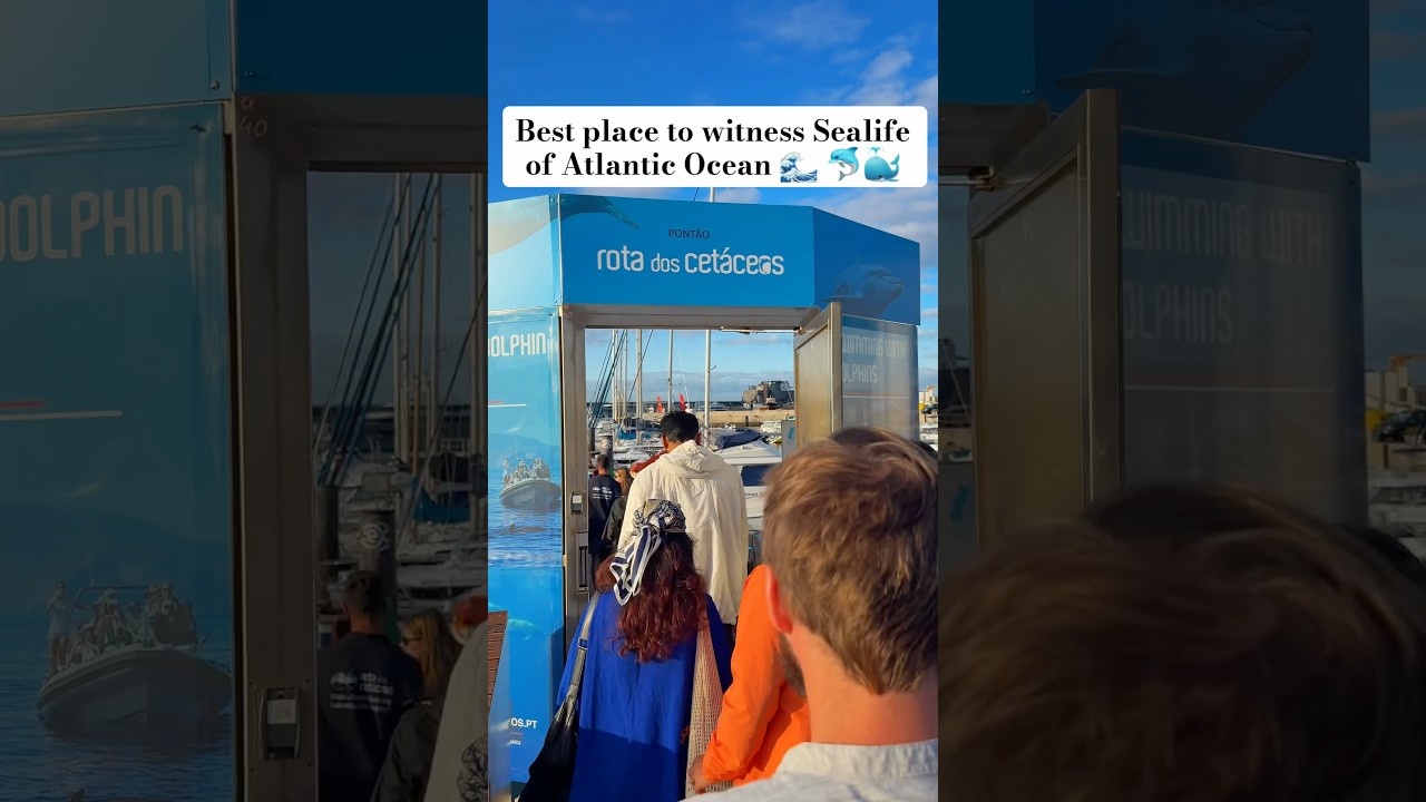 YouTube Short thumbnail