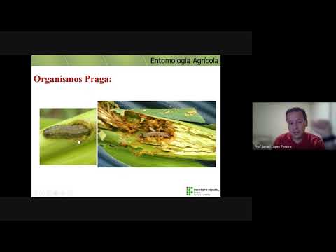 Aula 2: Manejo Integrado de Pragas (MIP) -  Parte 1
