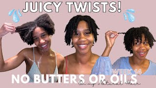 Natural Hair Detox: Week 14 of No Raw Butters & Oils | Juicy Twists! | Gabrielle Ishell