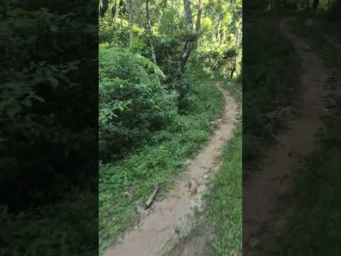 Tour da Roça Natividade da Serra SP