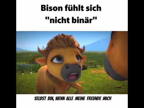 Bison fühlt sich nicht binär
