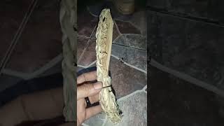 Download lagu wujud kembang serai sayur asli,,,smoga yg belum tau bisa membedakan dan mengetahui mp3