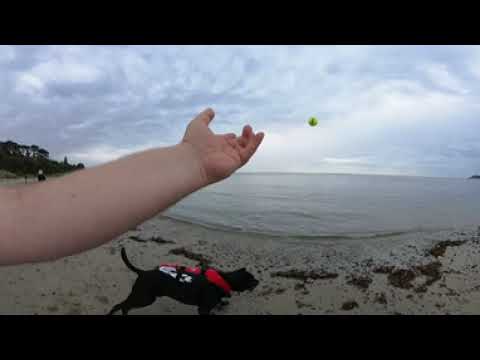 BiiBii at the Beach 25-02-23