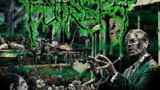 Putrefy -  Anointed in Servitude(Internal Bleeding cover)