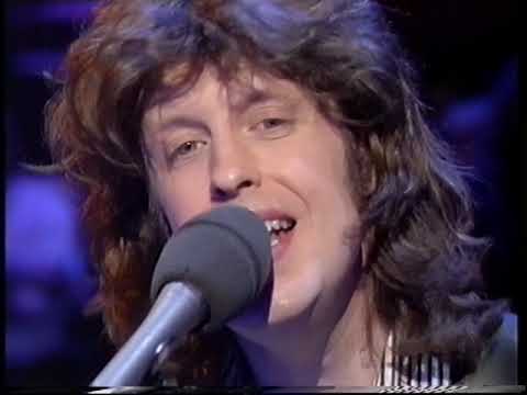 Mike Scott - Wonderful Disguise (live) - Later With Jools Holland - 10/12/1994