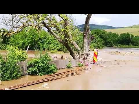 inundatii Hamcearca 1