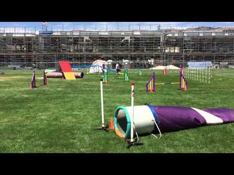 Tracy and Quimblee - Masters Challenge Standard (16") - 2015-05-30