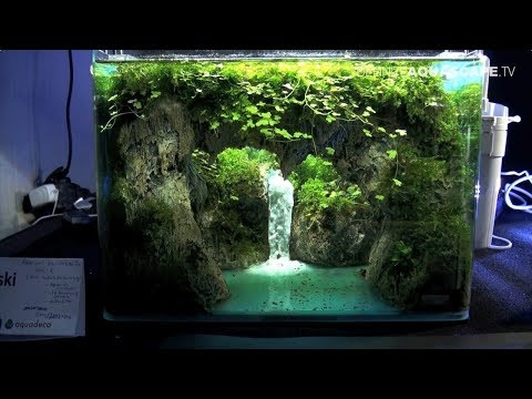 The Art of the Planted Aquarium 2017 - Nano tanks 1-3