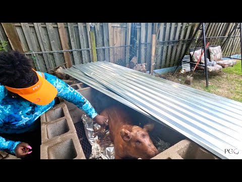 Cooking The PGO Pig - How To Cook A Whole Hog