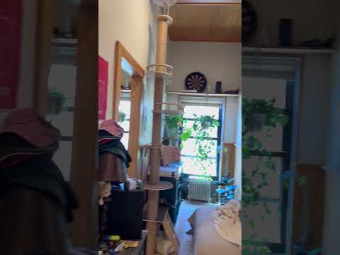 video 1